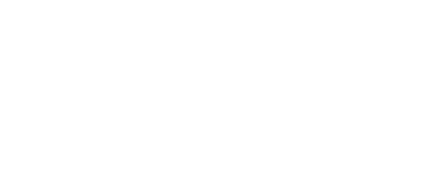 Nissan_Bridgestone.png